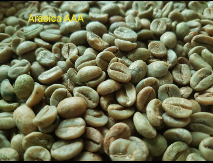 Green Coffee Beans
